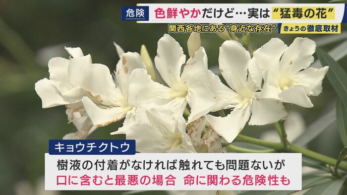 最悪の場合は命に関わる
