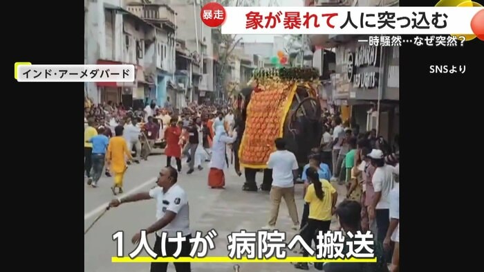 象を落ち着けようとする象使いと様子をうかがう人々