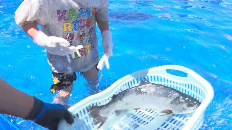 「岩手大槌サーモン祭り」にぎわう　4月に大規模山林火災発生　岩手県大槌町｜FNNプライムオンライン