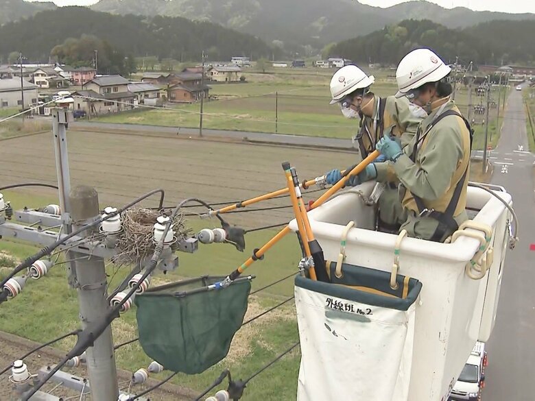 高さ14mの電柱の上に…停電の原因にもなるカラスの巣を撤去 岐阜県内では3月末までに1600個程見つかる｜FNNプライムオンライン