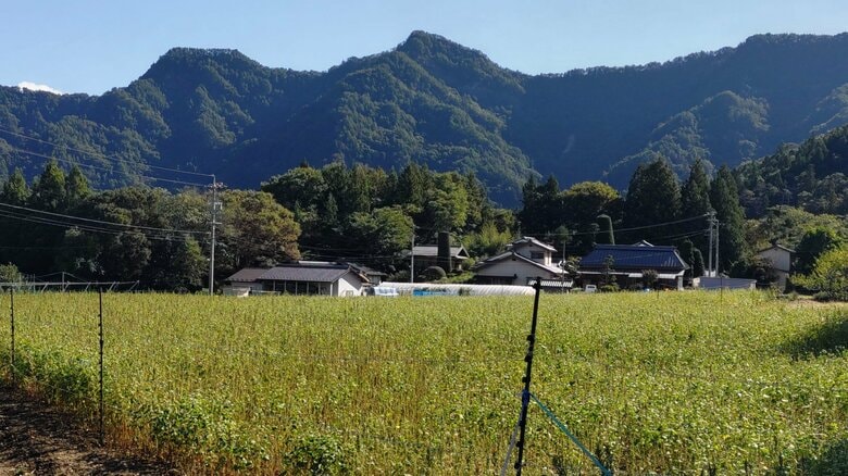 下山中にバランスを崩して約20メートル滑落　東京都の57歳男性を救助　右足と背中を負傷している模様　長野県生坂村の京ヶ倉で遭難｜FNNプライムオンライン