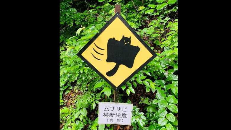 「ムササビ横断注意」軽井沢にある“世界に2枚だけ”の標識がかわいい｜FNNプライムオンライン