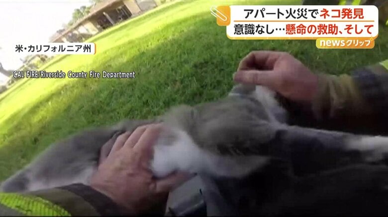 火災に巻き込まれたネコを「人工呼吸」と「酸素マスク」で救助　ネコたちは数分後に回復　アメリカ・カリフォルニア州｜FNNプライムオンライン