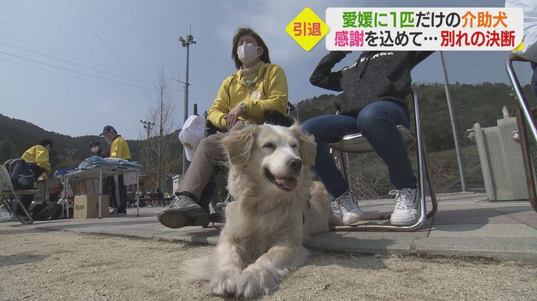 フライングディスク競技大会
