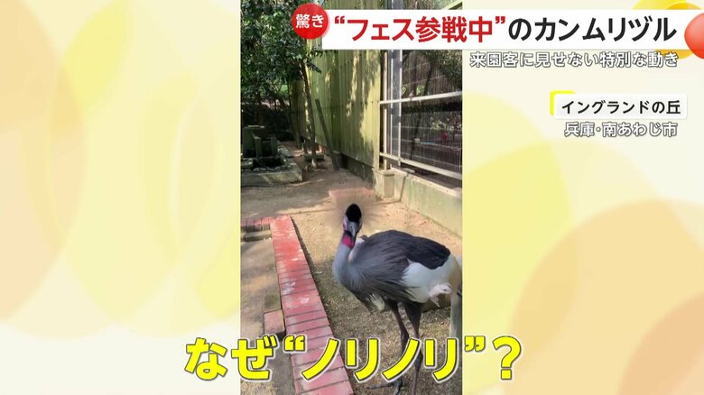 動画では少なくとも20秒以上、首をブンブンしていたつゆ