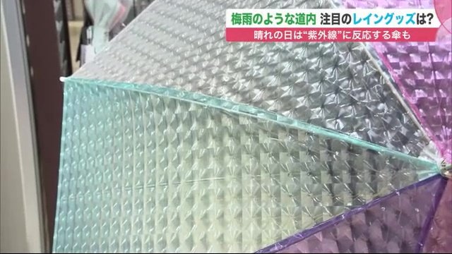 光の当たり方などで表情が変わるものも。見ていて飽きない