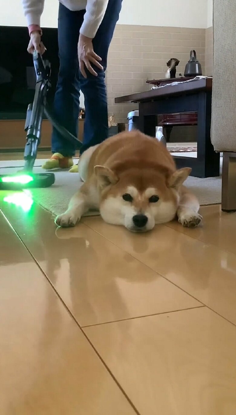 それでも茶々丸ちゃんは動かないでいた