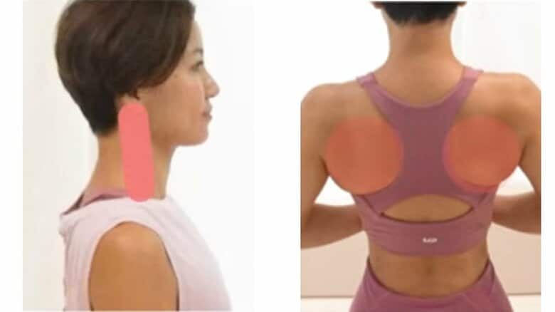 首や肩甲骨まわりが悪い姿勢で固まってしまうと体全体の動きの悪さにつながるという