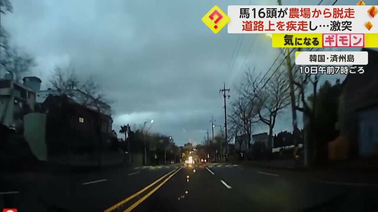 逃走現場の車内映像