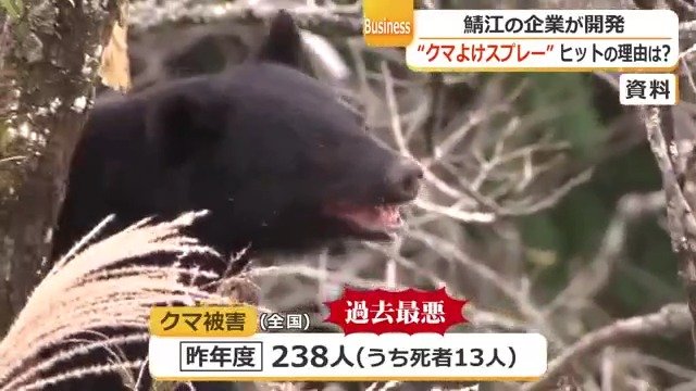 クマによる人身被害が深刻