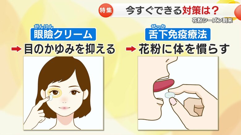 花粉に体を慣らす「舌下免疫療法」