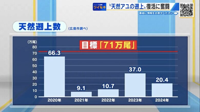 天然アユの遡上数（広島市調べ）