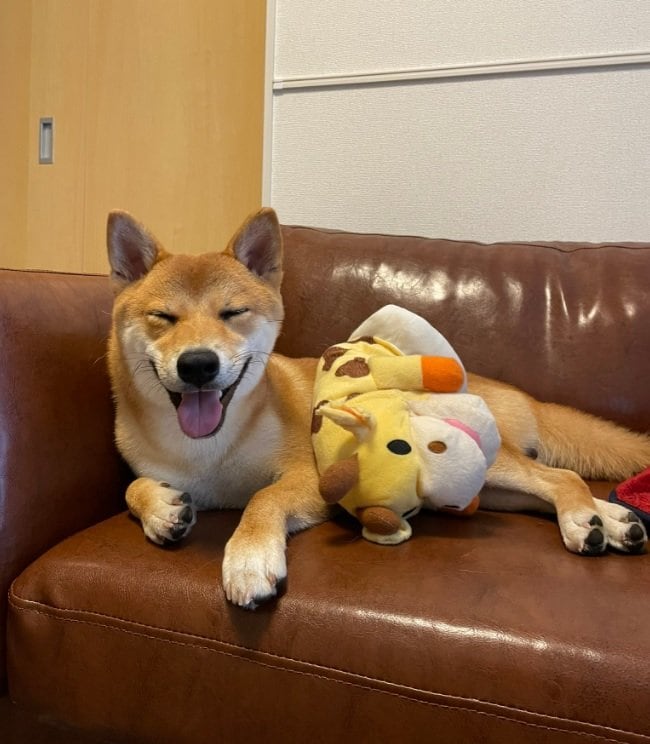 ニコニコ顔の文旦くん