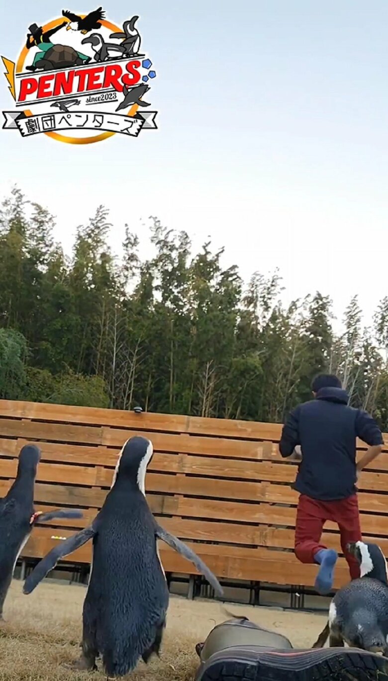 その後も約20分は目に入ると追いかけられるが続いたという