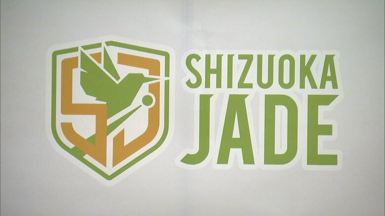 カワセミをデザインしたチームロゴ