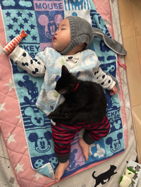 提供：ゴンゾウR4さん