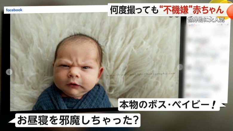 SNSに投稿されると、約2000万回も閲覧された生後1週間の赤ちゃんの不機嫌そうな表情