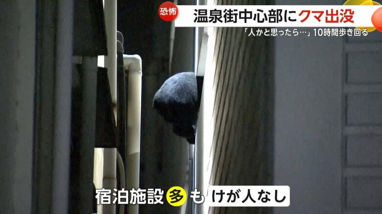 温泉街に現れた一頭のクマ（13日午前0時半頃、福島市・飯坂温泉）