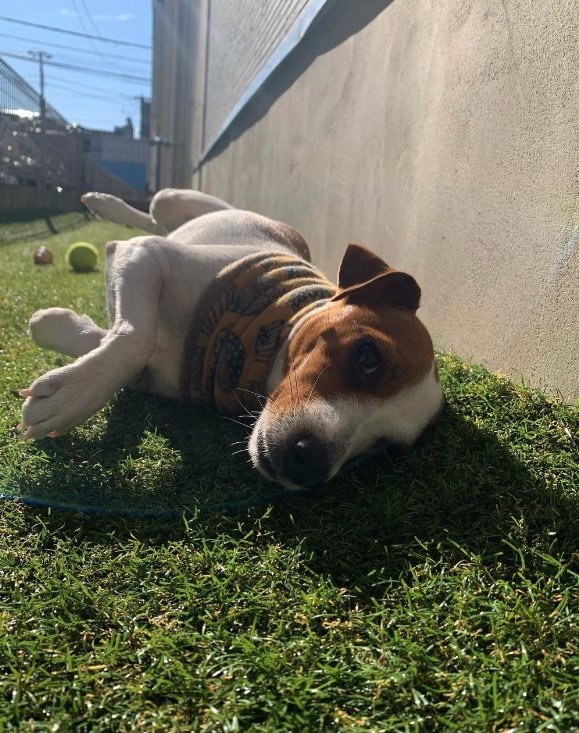 提供：あずもなさん