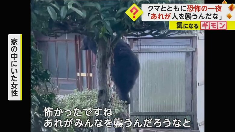 庭の柿の木に登ったクマは、一晩下りてこなかった