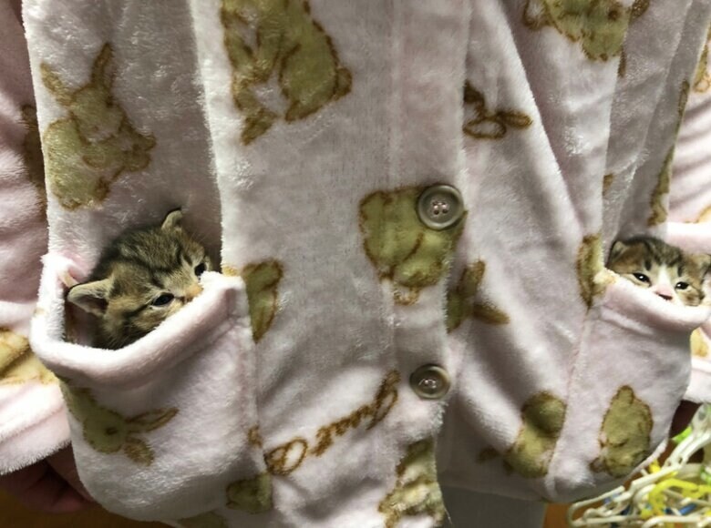 提供：もずく＆こんぶさん