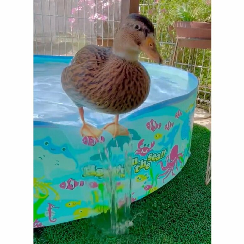 滝のように流れ出る水