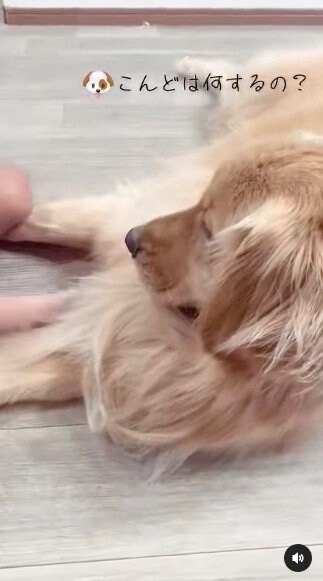 提供：西村 まひろさん