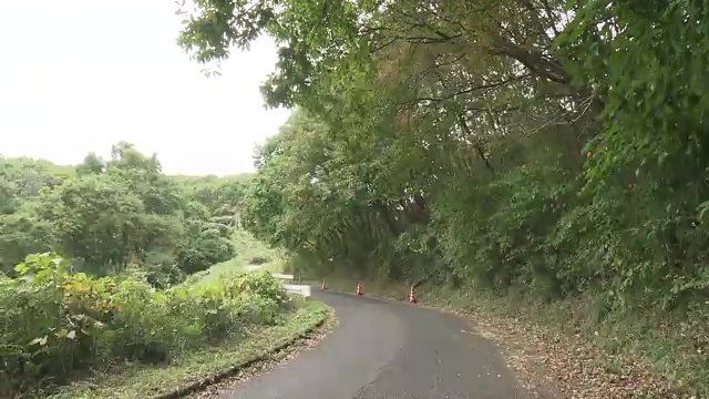 交通量の少ない山間部で被害