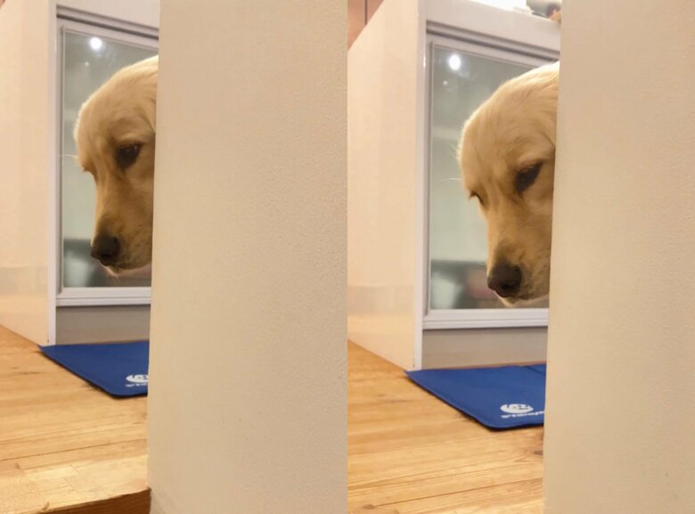 提供：エマさん