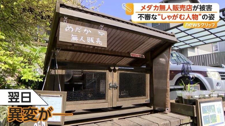 窃盗事件が起きたメダカの無人販売所