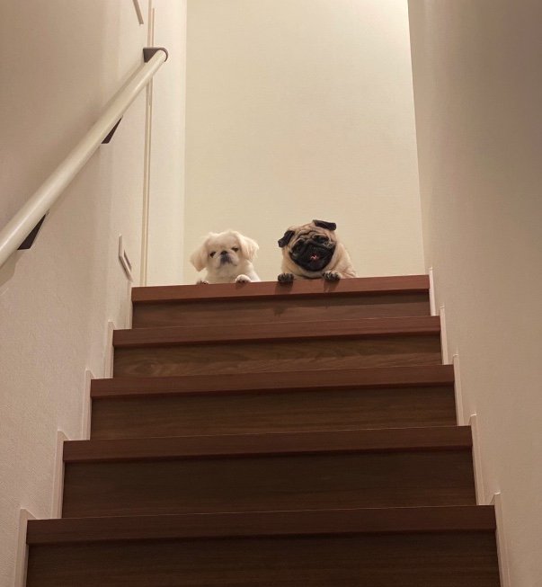 提供：よこむすびさん