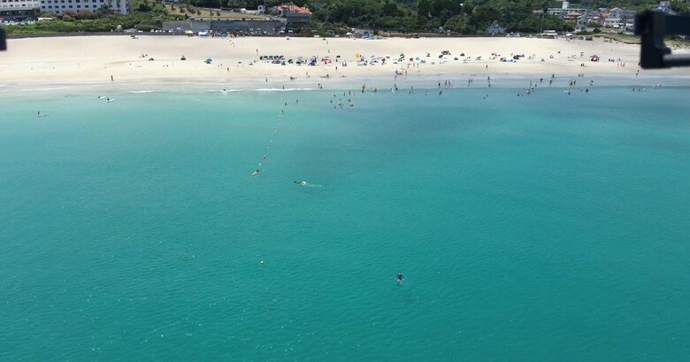 ドローンが撮影した映像の一部（提供：静岡県下田市）