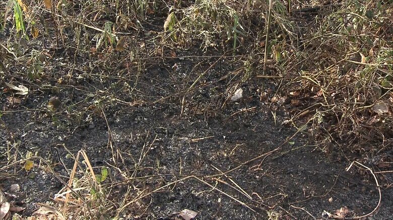 21日も宇都宮市内で雑木林など燃える