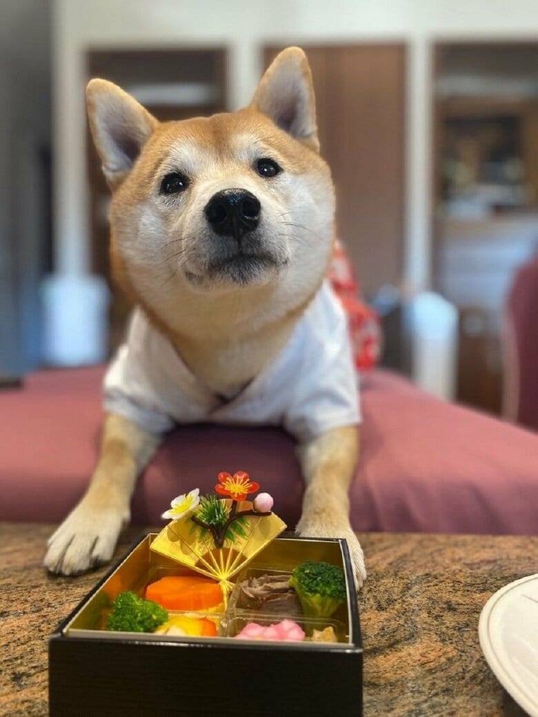 おいしそうなおせちを前にしても待ちます