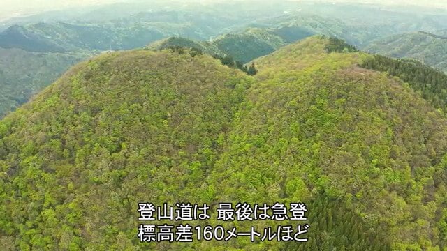 ２つの峰をもつことから「二子山」という