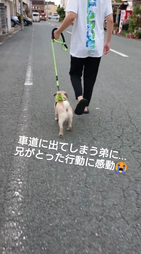 提供：たまごandおもちさん