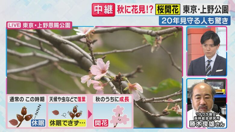 勝木俊雄さん（関西テレビ「旬感LIVE とれたてっ！」より）