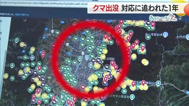 これまでは市街地に出没することはなかったが、2025年は市街地への出没が頻繁に起こった