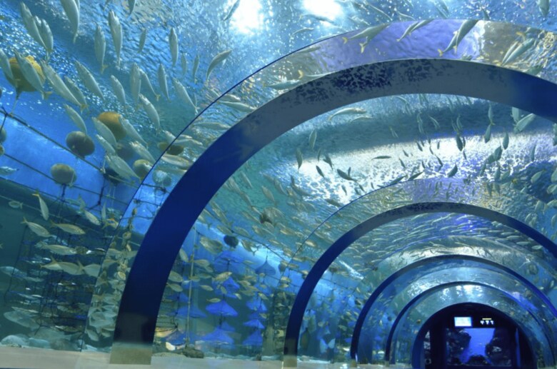 浅虫水族館HPより