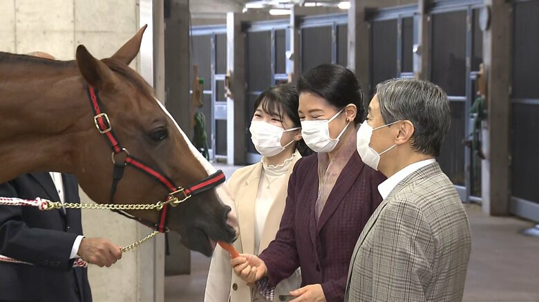 伊勢神宮で「神馬」となった本勇号と対面　2023年10月
