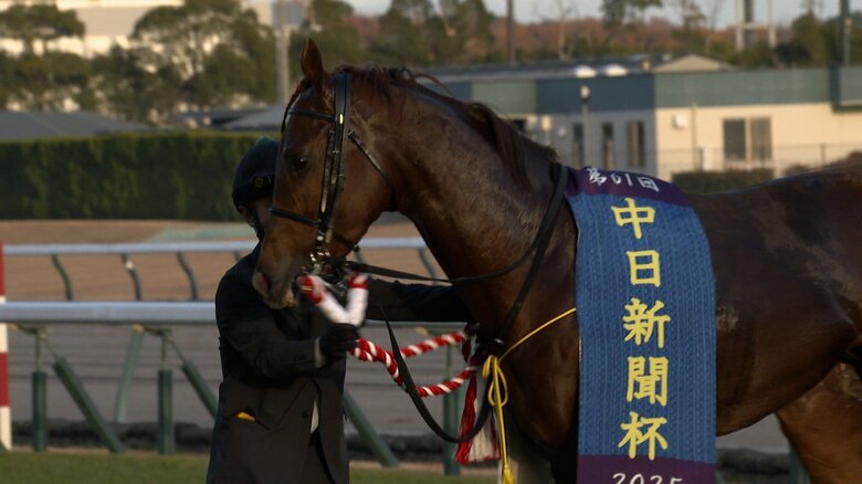 中日新聞杯を制したシェイクユアハート