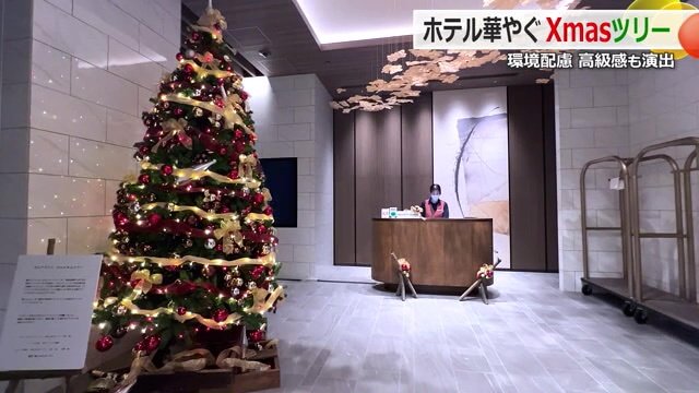 シャンパンの空き瓶を使ったクリスマスツリー