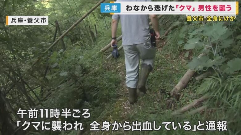 兵庫・養父市