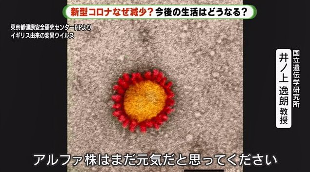 井ノ上教授はアルファ株再拡大の可能性はあると指摘する