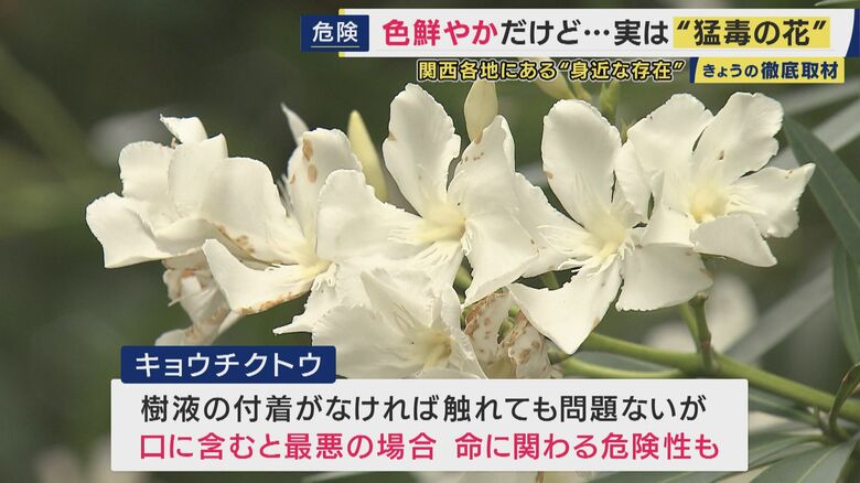 最悪の場合は命に関わる