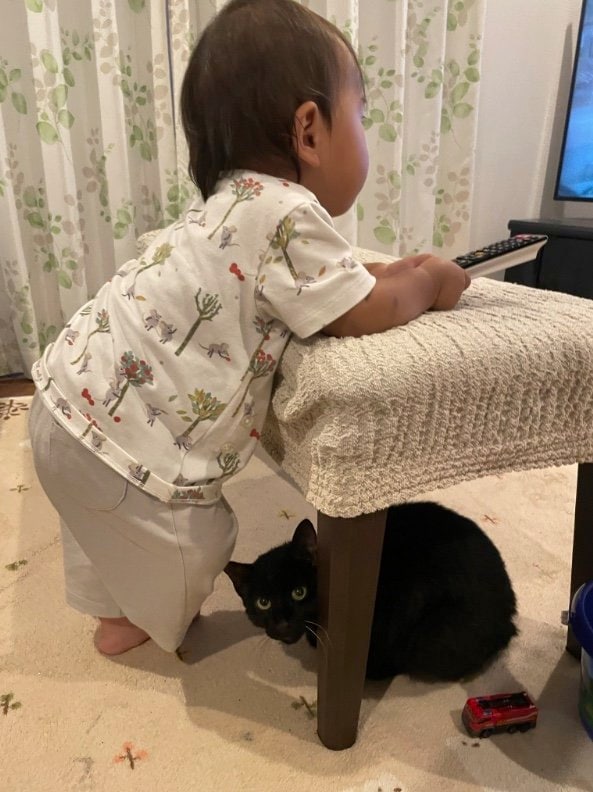 提供：ゴンゾウR4さん