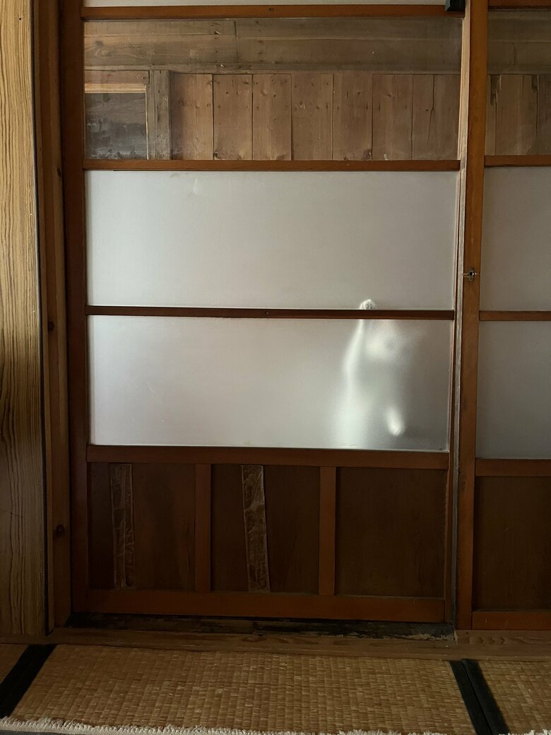 開けてほしそうな猫