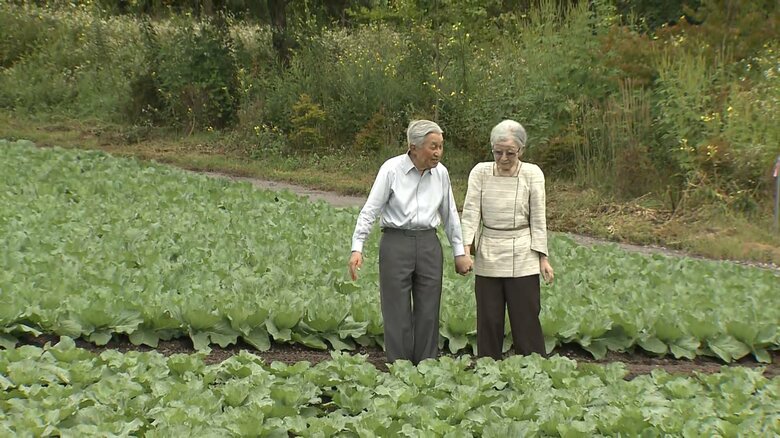 キャベツ畑をご覧になる上皇ご夫妻　軽井沢・大日向地区