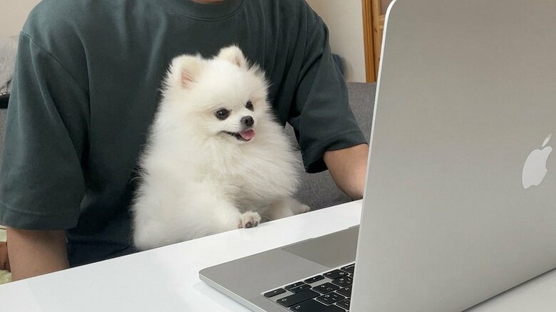 一緒にテレワーク