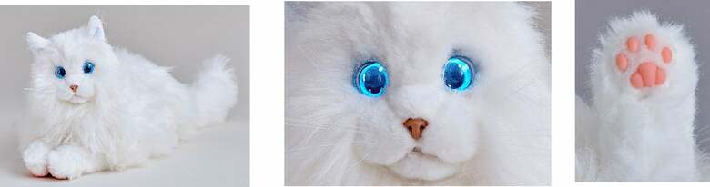 （出典:セガトイズ）